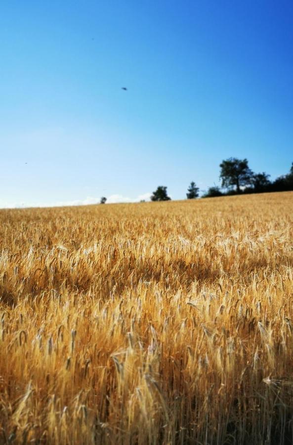 Evasion Nature Et Convivialite Sourcieux-les-Mines Exterior foto