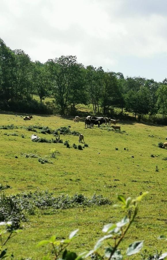 Evasion Nature Et Convivialite Sourcieux-les-Mines Exterior foto